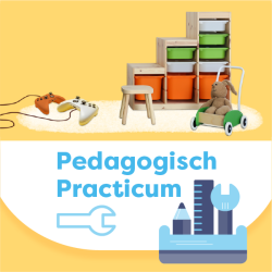 Pedagogisch Practicum: Exploratie stimuleren door de inrichting van je groep (0-4 jaar) 