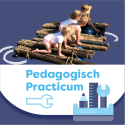 Pedagogisch Practicum Risicovol Spel 